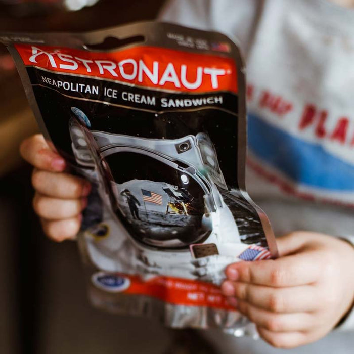 Astronaut Neapolitan Ice Cream Sandwich