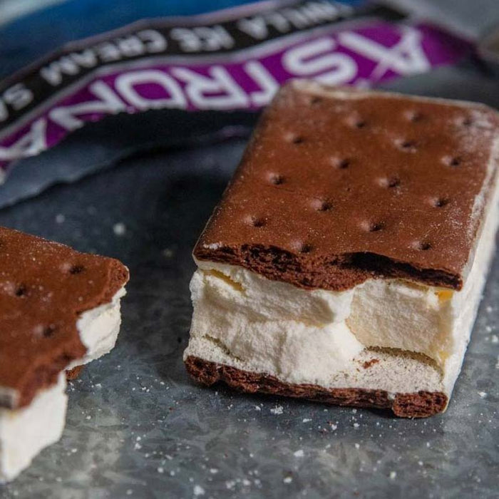 Astronaut Vanilla Ice Cream Sandwich