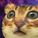 Catstronaut Slow-Rise Squishy Ball