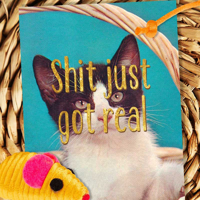 Shit Just Got Real Kitten Friendship Card