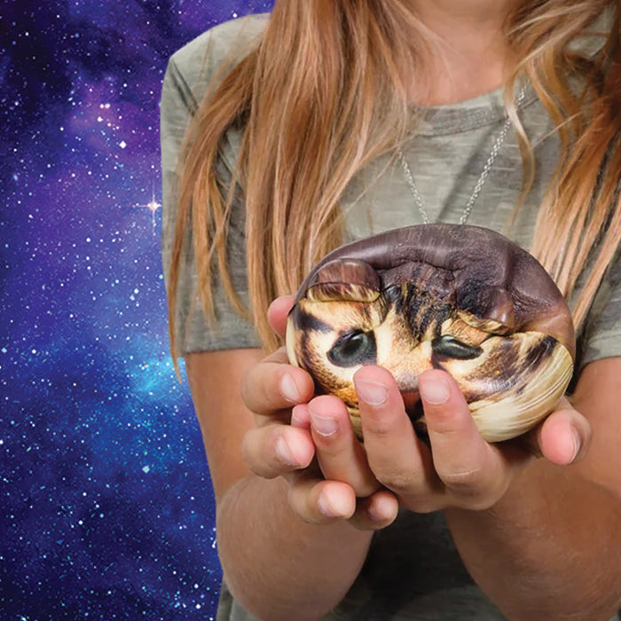 Catstronaut Slow-Rise Squishy Ball