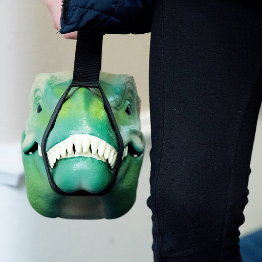 Dinosaur Lunch Box