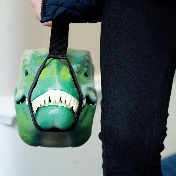 Dinosaur Lunch Box