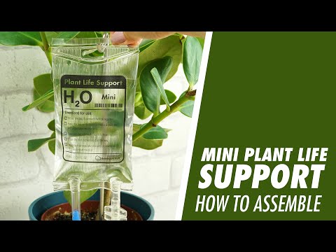 Mini Plant Life Support