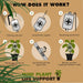 Mini Plant Life Support
