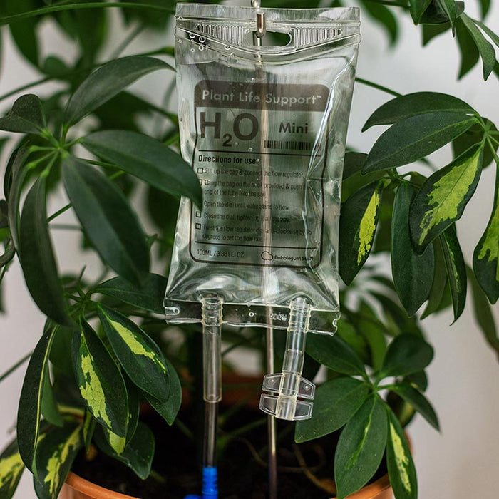 Mini Plant Life Support