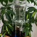 Mini Plant Life Support