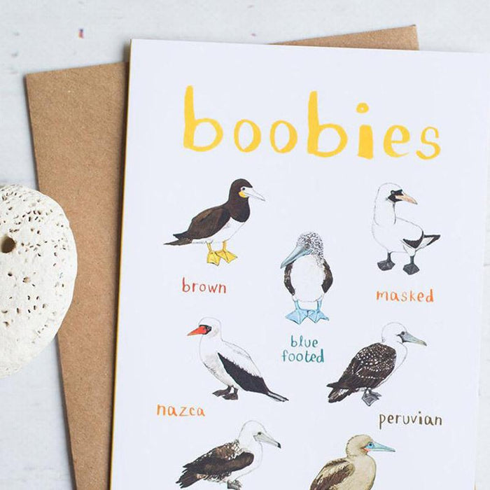 Boobies Fowl Bird Greeting Card