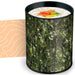 Sushi Roll O’ Notes