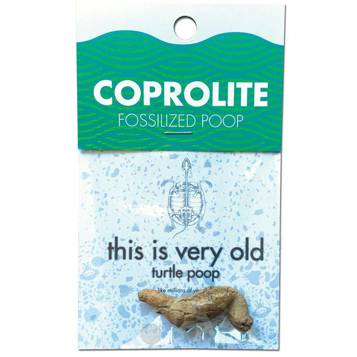 Turtely Awesome Turtle Poop