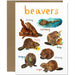 Beavers Greeting Card