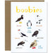 Boobies Fowl Bird Greeting Card