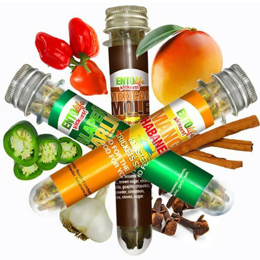 Mini-Kickers Flavored Roasted Crickets