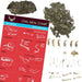 Owl Puke Pellet - See What They Had For Dinner