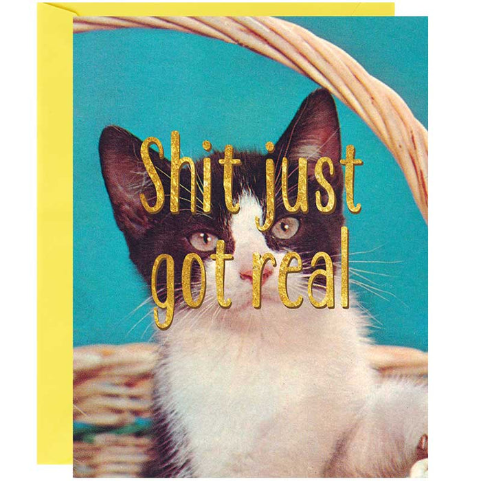 Shit Just Got Real Kitten Friendship Card