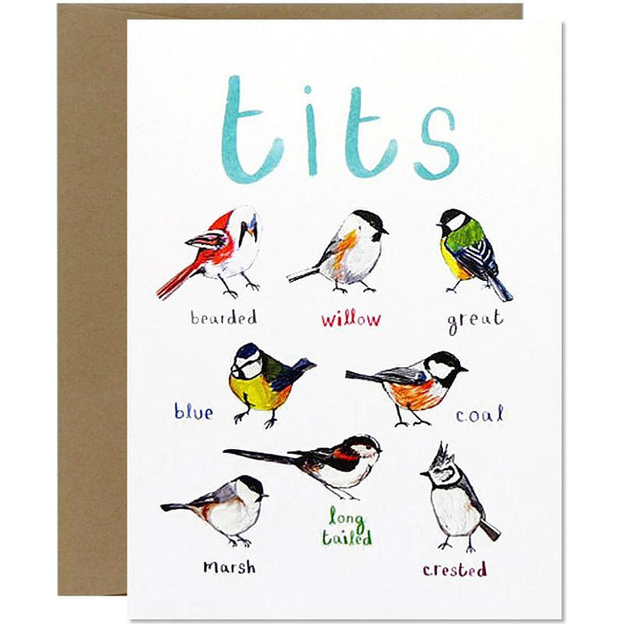 Tit Bird Fowl Greeting Card