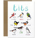 Tit Bird Fowl Greeting Card