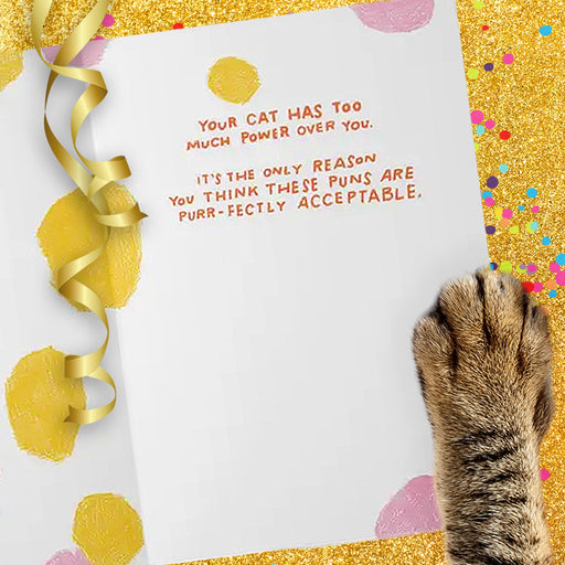 Your Cat Has Too Much Power Over You Birthday Card
