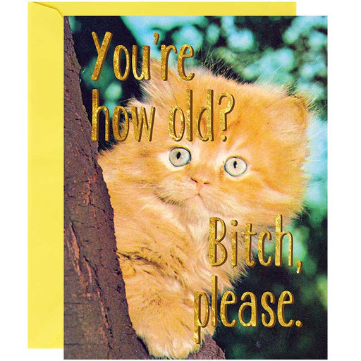 You're How Old? Bitch Please Birthday Card