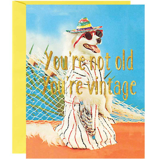 You're Not Old You're Vintage Birthday Card