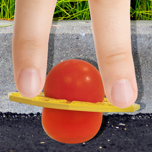 World's Smallest Pogo Ball
